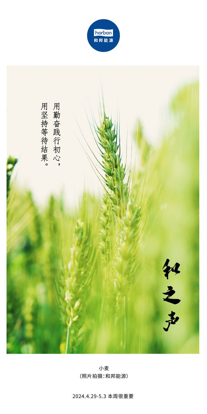 【和之声】用勤劳践行初心，用坚持期待效果。（总第132期）2024.4.29-5中文改小季度推送用.jpg